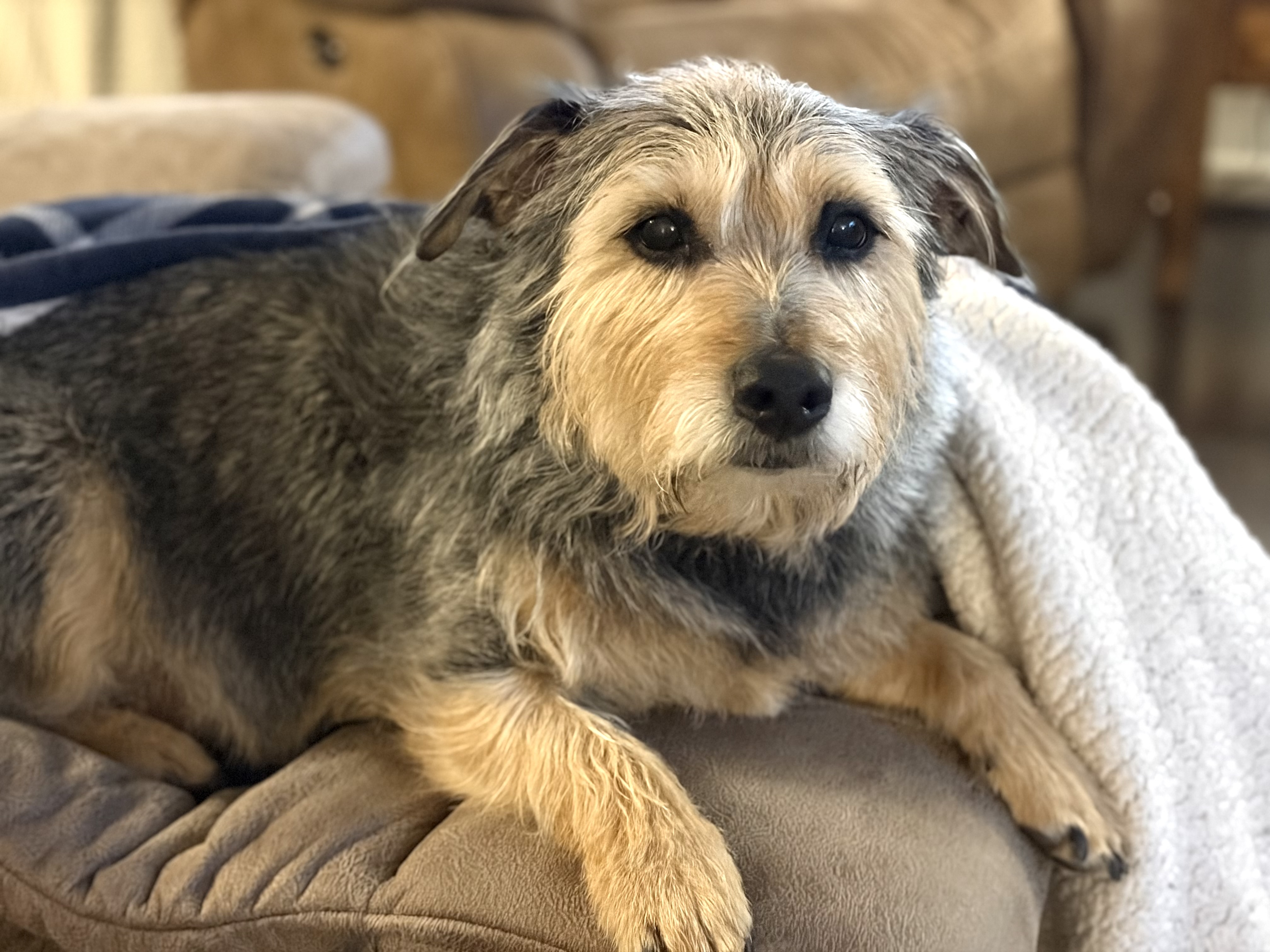 Baxter