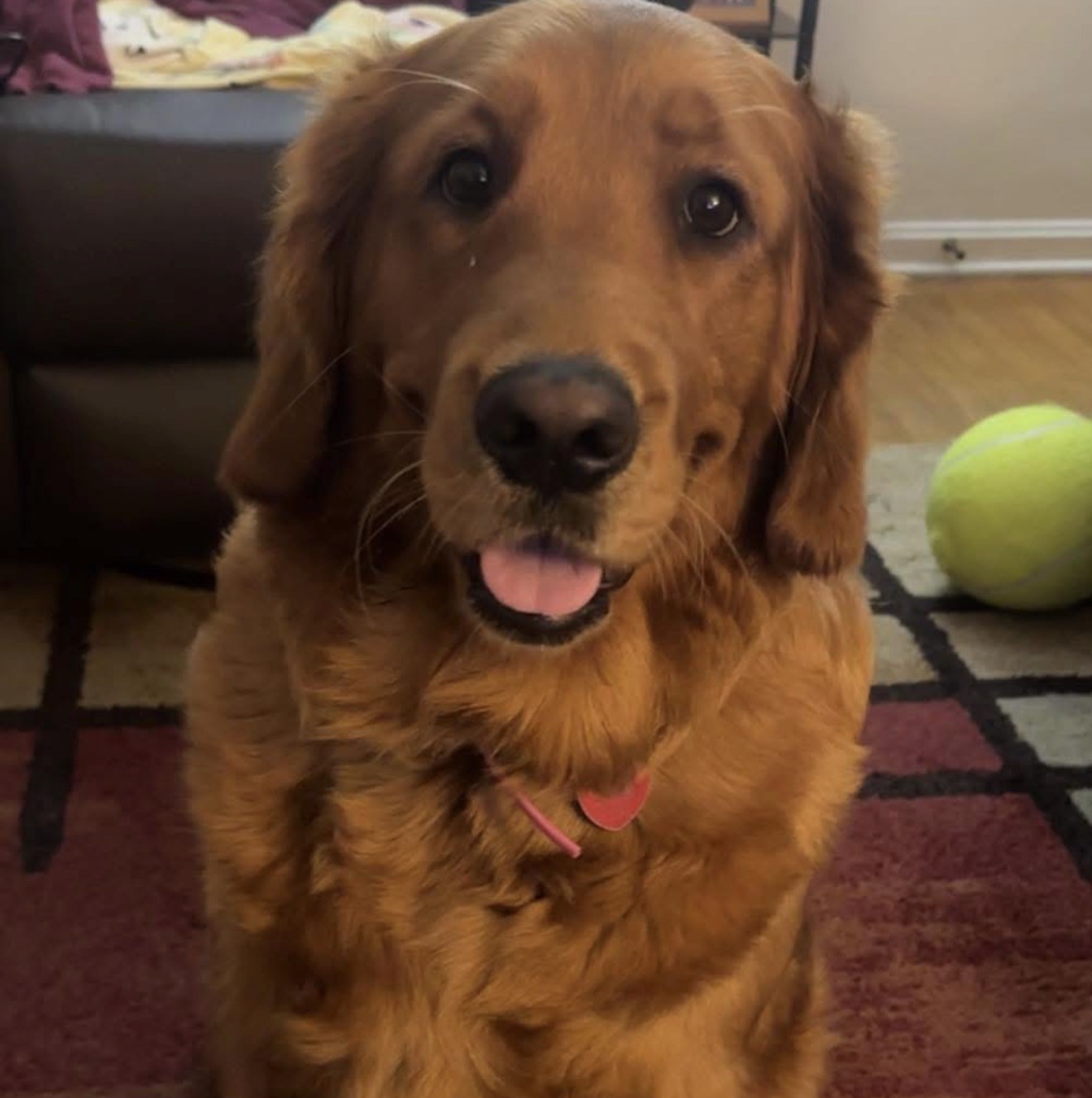 Bella