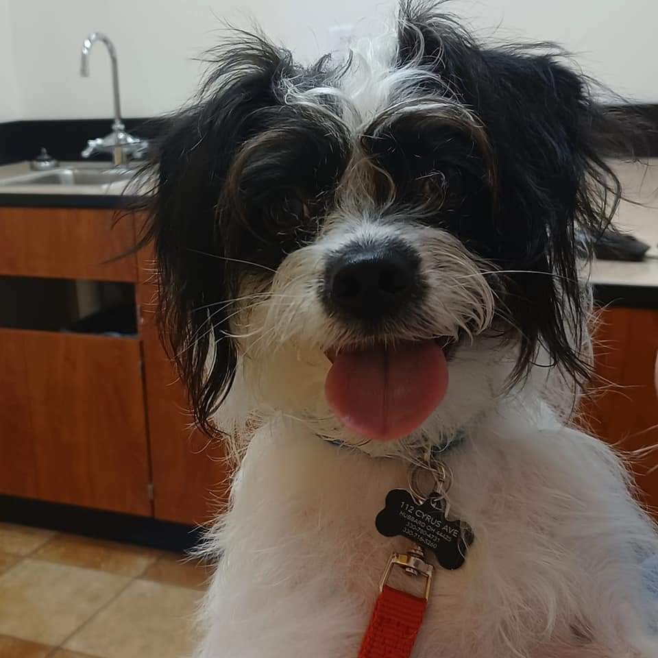 Duncan