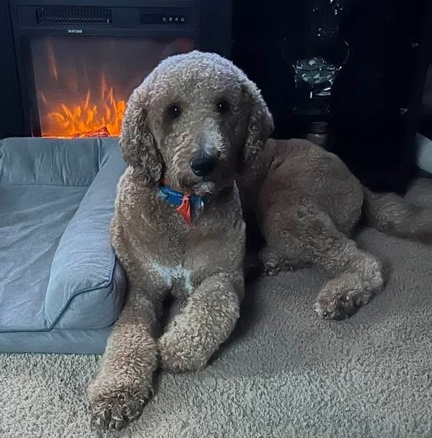 Duncan