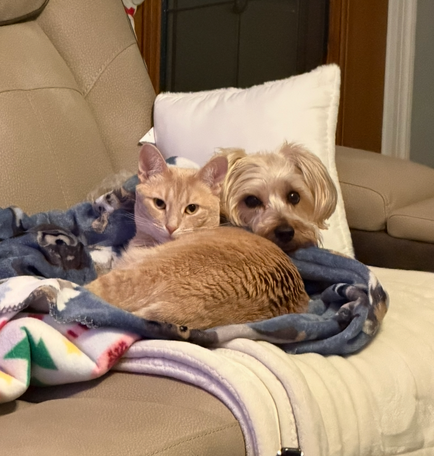 Moose and Dola